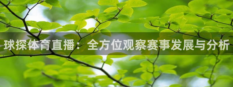 球探体育直播：全方位观察赛事发展与分析
