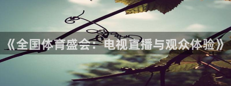 《全国体育盛会：电视直播与观众体验》