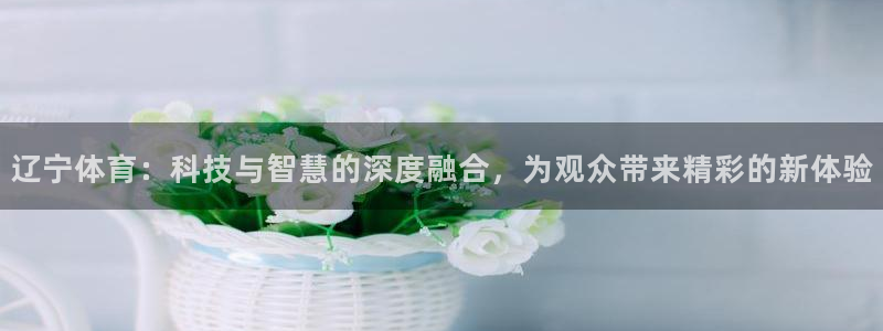 辽宁体育：科技与智慧的深度融合，为观众带来精彩的新体验