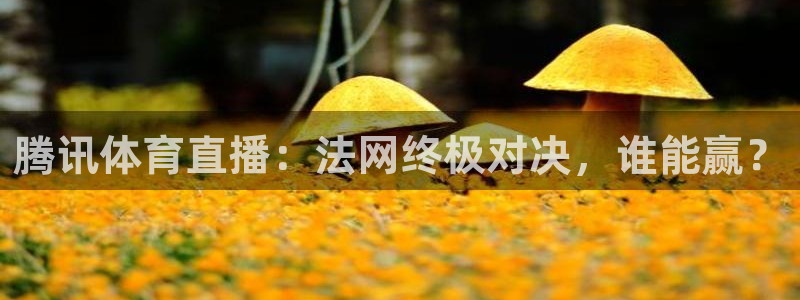 腾讯体育直播：法网终极对决，谁能赢？