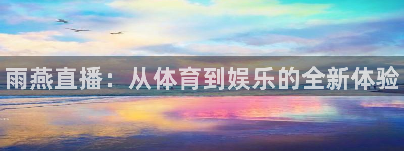雨燕直播：从体育到娱乐的全新体验