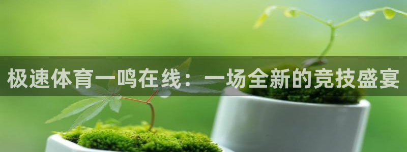 极速体育一鸣在线：一场全新的竞技盛宴